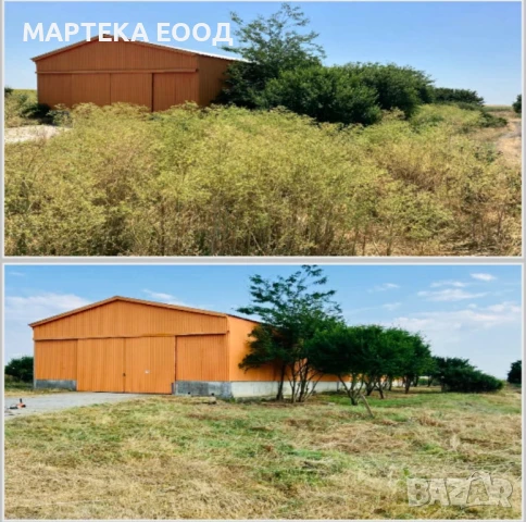 Почистване на нежелана растителност от дворове, парцели, халета, индустриални площи и други.