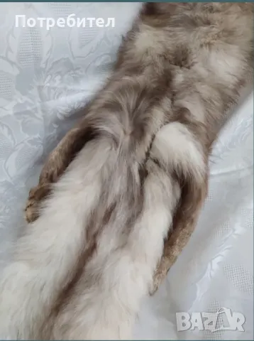 Яка от цяла лисица, снимка 12 - Шалове - 49942193