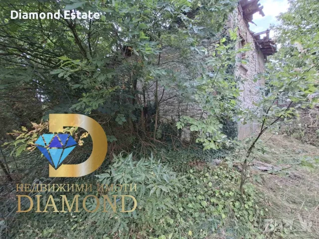 Парцел със стара къща в Димитровград, кв. Черноконево, снимка 8 - Къщи - 56173024