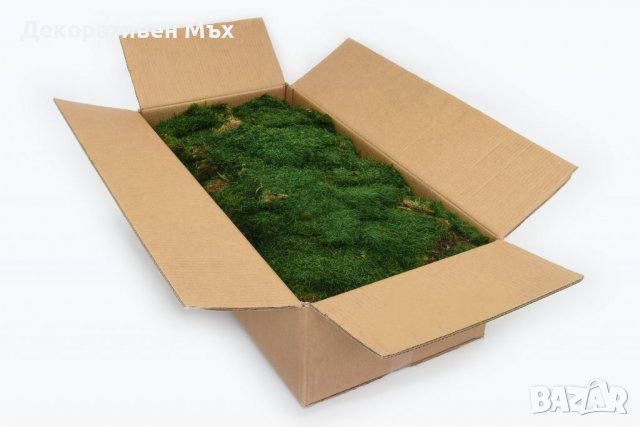 Декоративен плосък стабилизиран скандинавски естествен мъх - Промоция, снимка 2 - Декорация за дома - 38501860