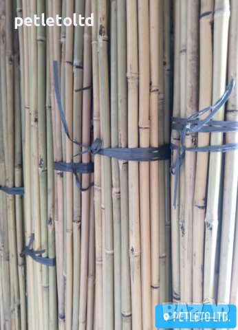 Бамбукови колчета Ф 16 мм - Ф 18 мм / 2,10 метра, снимка 8 - Разсади - 36886966