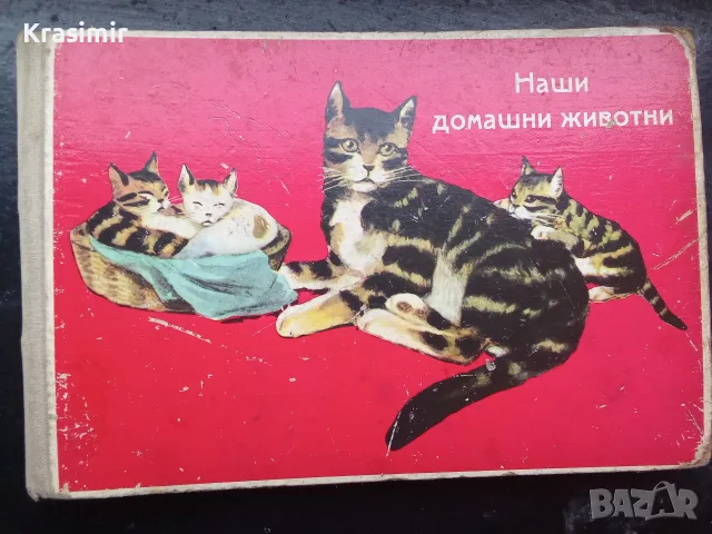 Детска книжка - "Наши домашни животни"