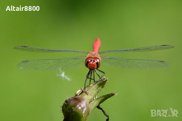 Nikon AF-S 18-200mm f/3.5-5.6G ED VR обектив Никон, снимка 11 - Обективи и филтри - 52515250