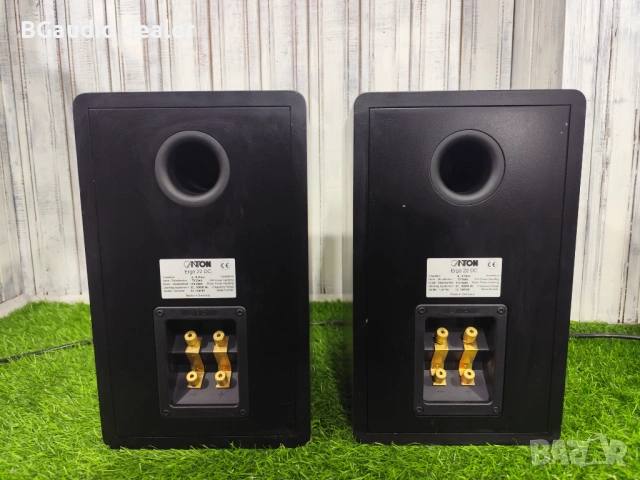 Canton Ergo 22 DC , снимка 11 - Тонколони - 54113515