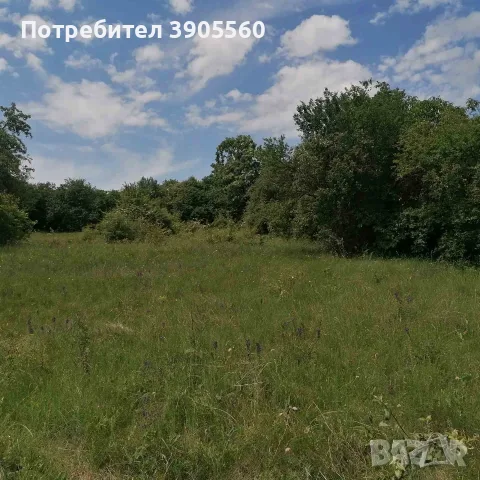 Продавам парцел в село Режанци, Брезник, снимка 3 - Парцели - 56160584
