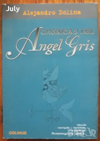 Cronicas del Angel Gris, Alejandro Dolina