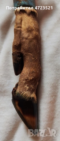 Уникален ловджийски нож с дръжка от елен, снимка 2 - Ножове - 53292971