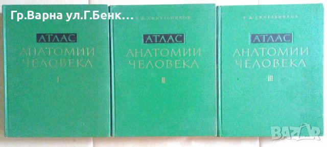 Атлас анатомии человека 1,2,3 том Р.Д.Синельников