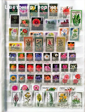 Пощенски марки цветя.130 бр.  К.1