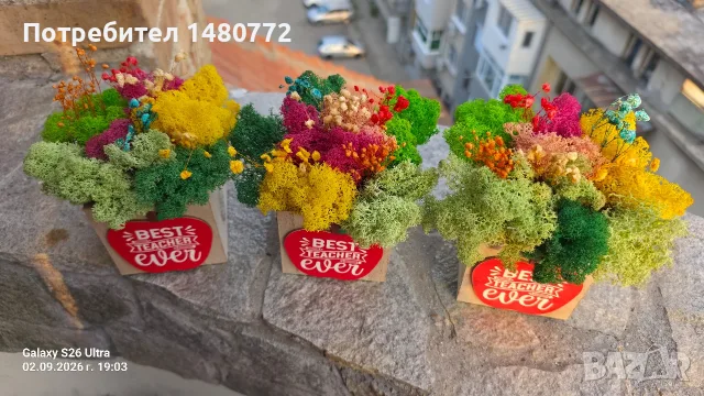 Дървени кашпи със скандинавски мъх за учител , снимка 13 - Декорация за дома - 51483212