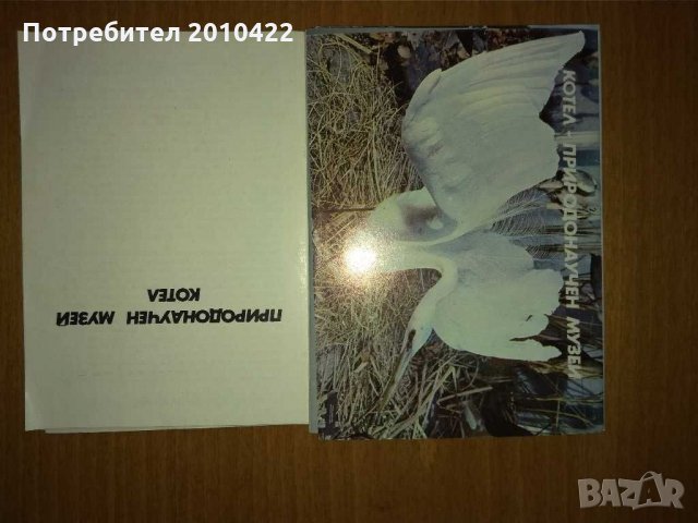 Картички за колекция, монети, снимка 5 - Колекции - 29735455