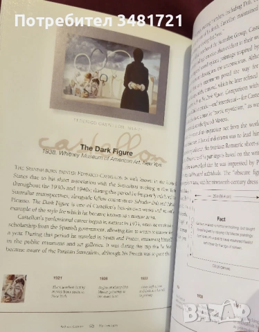 Сюрреалисти и техни произведения - визуален справочник / The Surrealists, снимка 10 - Енциклопедии, справочници - 53882934