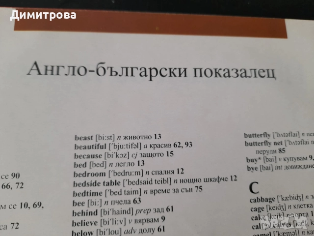 Картинен речник Английски с Уолт Дисни, снимка 3 - Чуждоезиково обучение, речници - 52953668