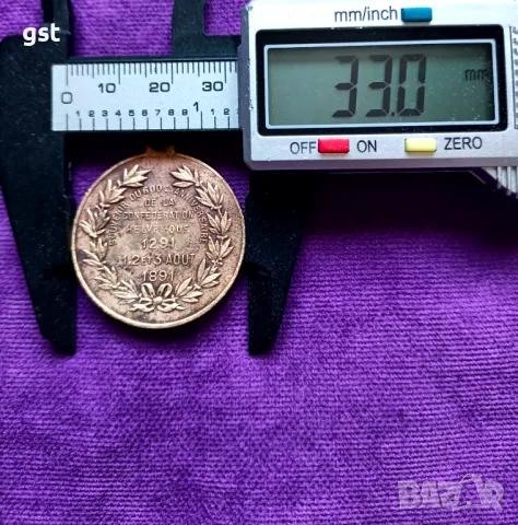 Рядък Медал плакет 1891 Helvetique Швейцария Swiss Bronze , снимка 3 - Антикварни и старинни предмети - 49313116