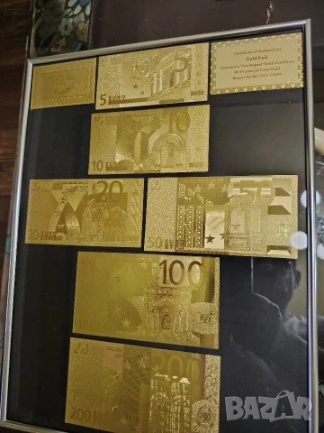 Колекция от позлатени Евро банкноти в сребриста рамка.