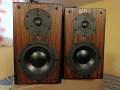 Продавам тонколони SWANS DIY 2.2, снимка 1