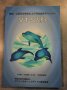 Японски книги-помагала и списания, снимка 13