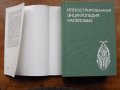 Иллюстрованная энциклопедия насекомых/на руски език/., снимка 2