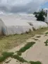 Метална конструкция за парник , снимка 2