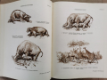 Детска енциклопедия РСФСР том2-1959г., снимка 5