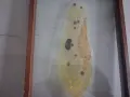 Старо,учебно пособие,макет на чехълче, снимка 4