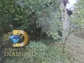 Парцел със стара къща в Димитровград, кв. Черноконево, снимка 8
