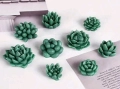 3D 9 различни Сукулент сукулента сукуленти кактус растения силиконов молд форма фондан смола гипс, снимка 3