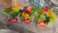 Дървени кашпи със скандинавски мъх за учител , снимка 13