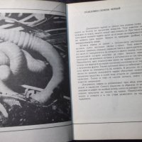 Книга "Не ги убивайте - Димо Божков" - 1 - 176 стр., снимка 3 - Специализирана литература - 35572142