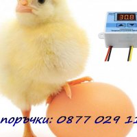 Терморегулатор за инкубатор 220V, снимка 1 - За птици - 30207477
