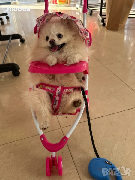 Колички за кукли, снимка 1