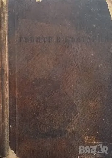 Гъбите в България Иван Сечанов, снимка 1