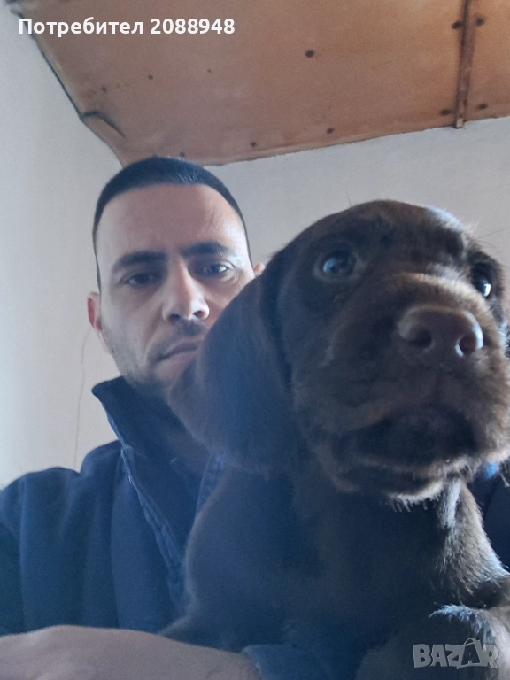 Женски дратхар, снимка 1