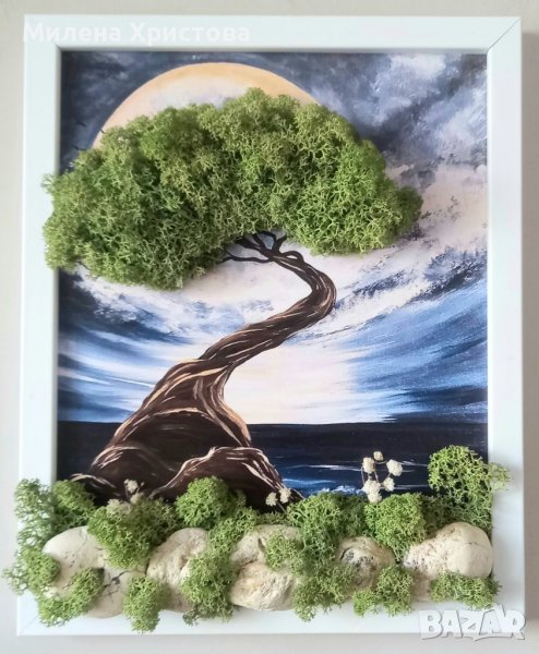 Пано със скандинавски мъх , снимка 1