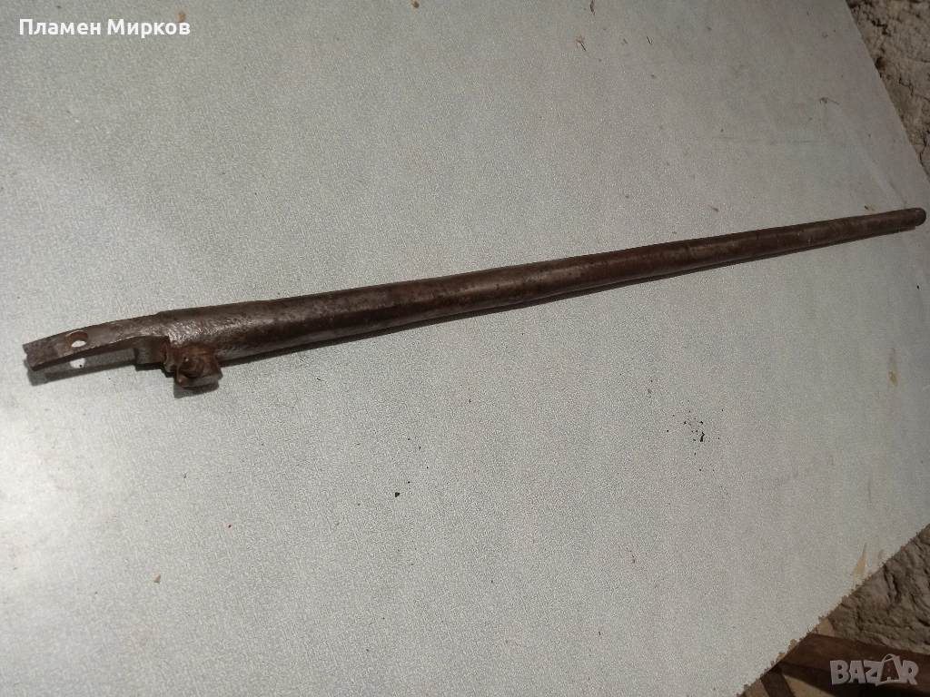 Колекционерска цев от евзалийка, снимка 1