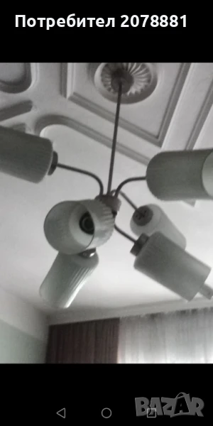 Полилей, снимка 1