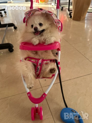 Колички за кукли, снимка 1