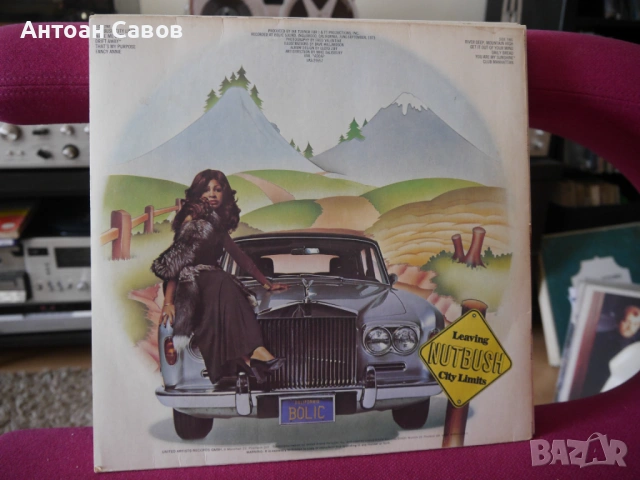 Tina Turner, снимка 2 - Грамофонни плочи - 54329548