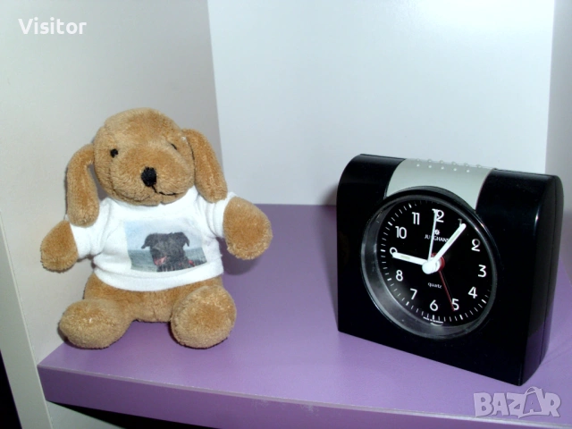 BenQ DC C1035   10 мрХ, снимка 9 - Фотоапарати - 54282156