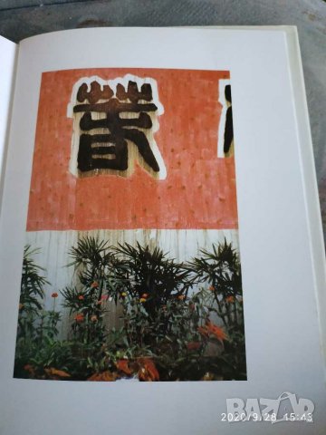 David hockney книга China diary 200  страници, снимка 8 - Специализирана литература - 30232982