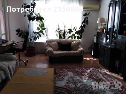 Персийски килим, снимка 2 - Килими - 29659504