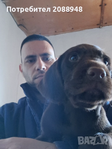 Женски дратхар