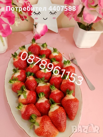 Разсад ягоди и малини , снимка 6 - Разсади - 49528320