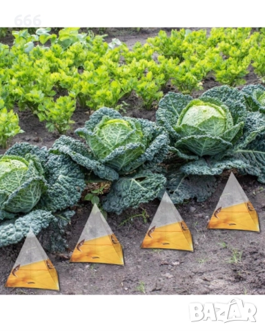 40 броя Капани за охлюви , снимка 3 - Други - 52985144