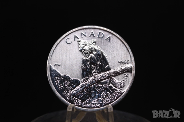 Кленов лист, Канада - серия Дивата природа - 4 х 1 oz / унция, инвестиционно сребро, снимка 6 - Нумизматика и бонистика - 51979784