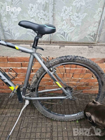 Колело драг 29 цола, снимка 4 - Велосипеди - 54239160