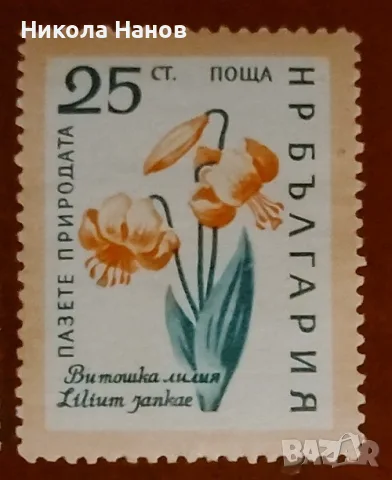 Български пощенски марки с цветя. Серия "Пазете природата". 1960 г., снимка 4 - Филателия - 55865910