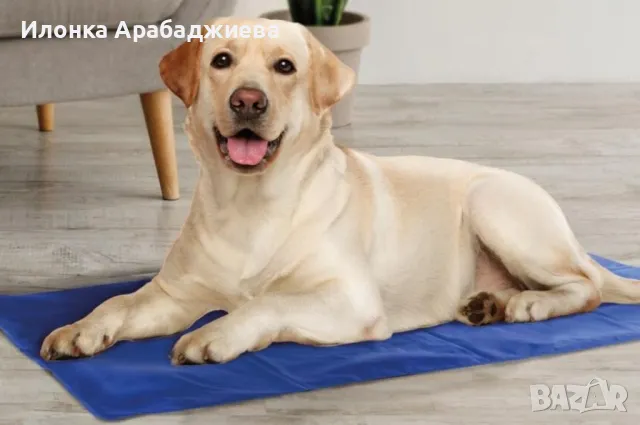 Охлаждаща подложка за домашни любимци, снимка 2 - Други стоки за животни - 49262659