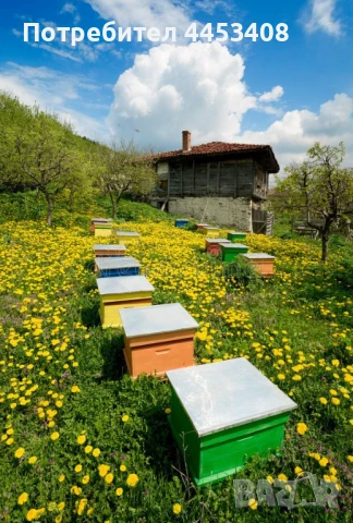 Чист натурален Мед Букет, снимка 4 - Пчелни продукти - 51016552