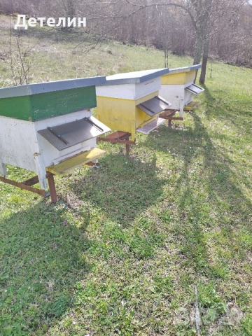 пчелни кошери Дадан-Блат 12 рамкови , снимка 7 - За пчели - 54009773